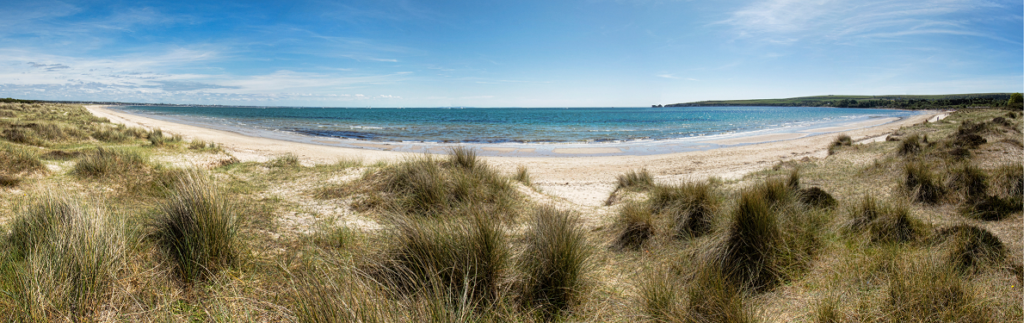 Bournemouth and Poole Studland Beach dunes