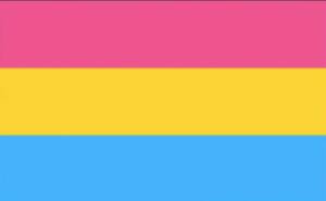 Pansexuality Pride Flag