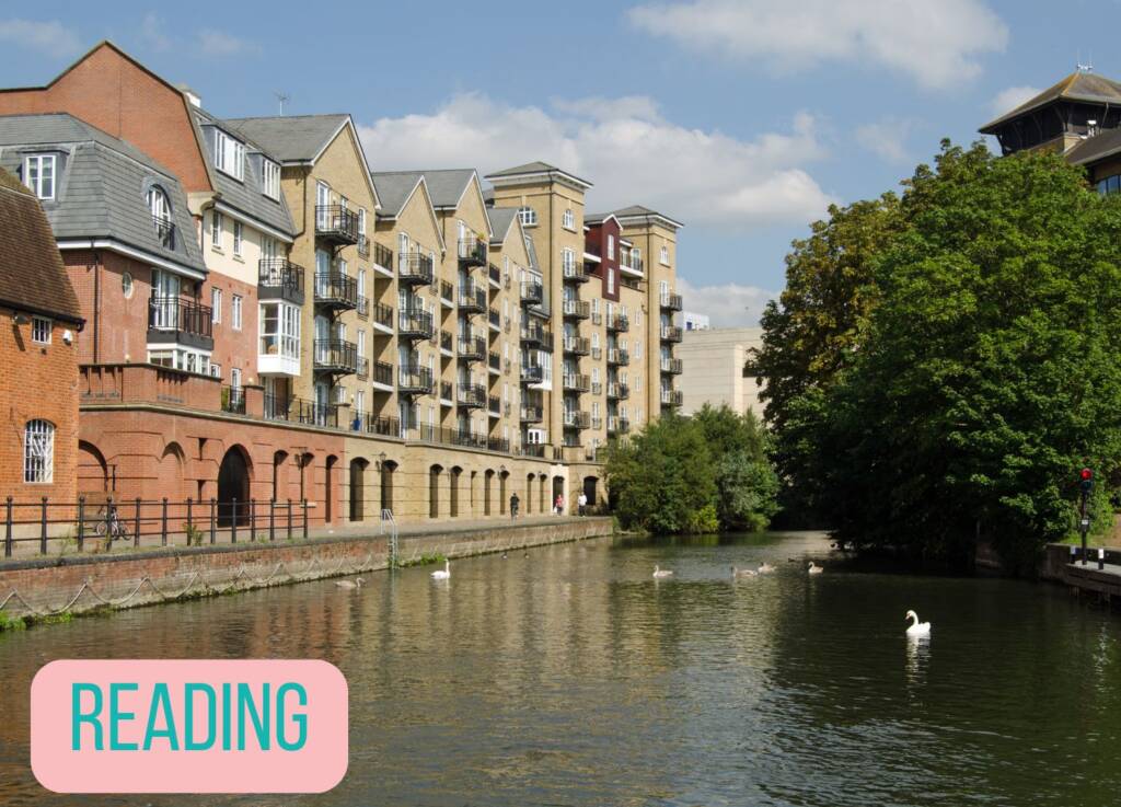 Reading male massage